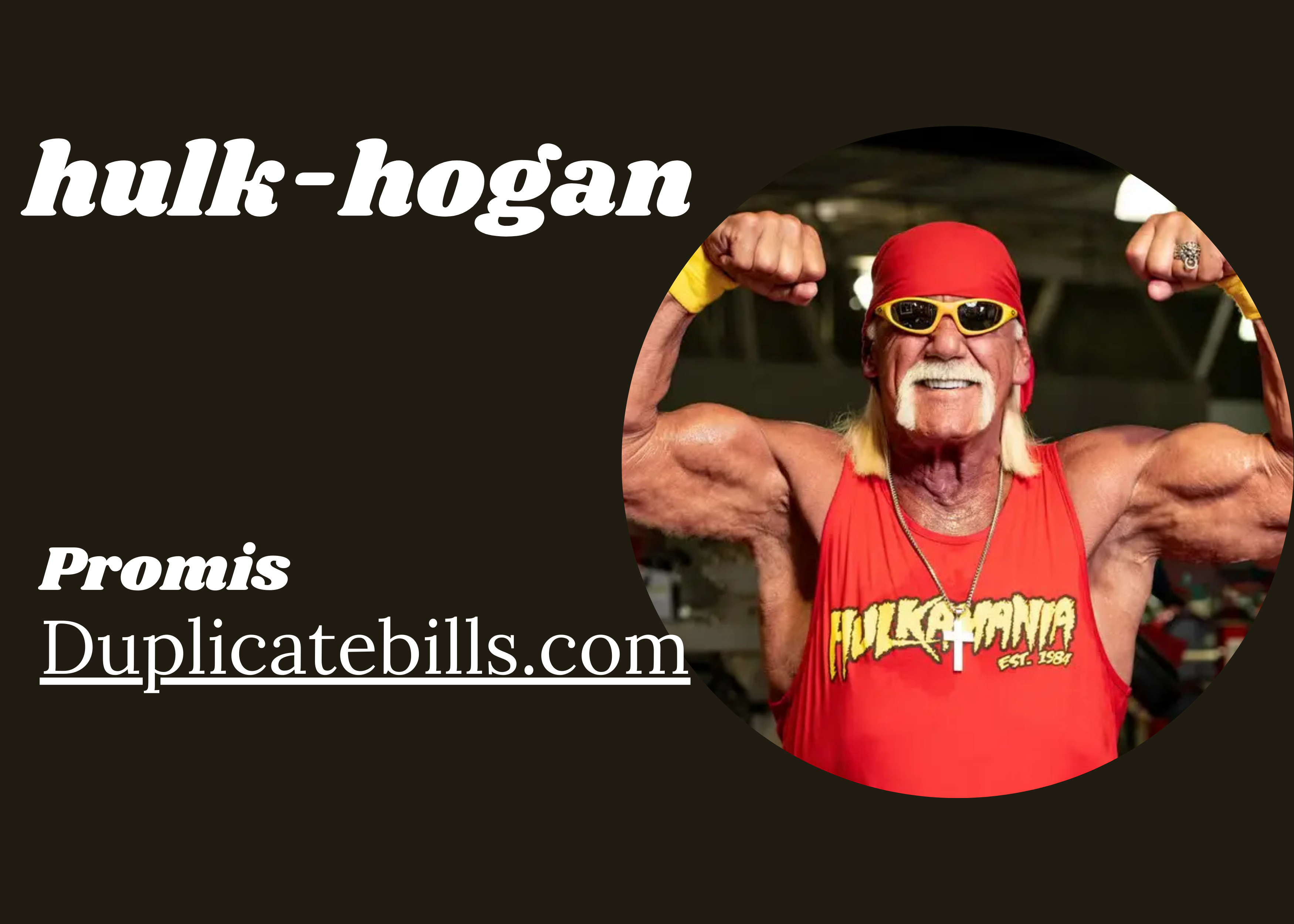 Hulk Hogan Profil: , Herkunft, Nationalität, Nettovermögen