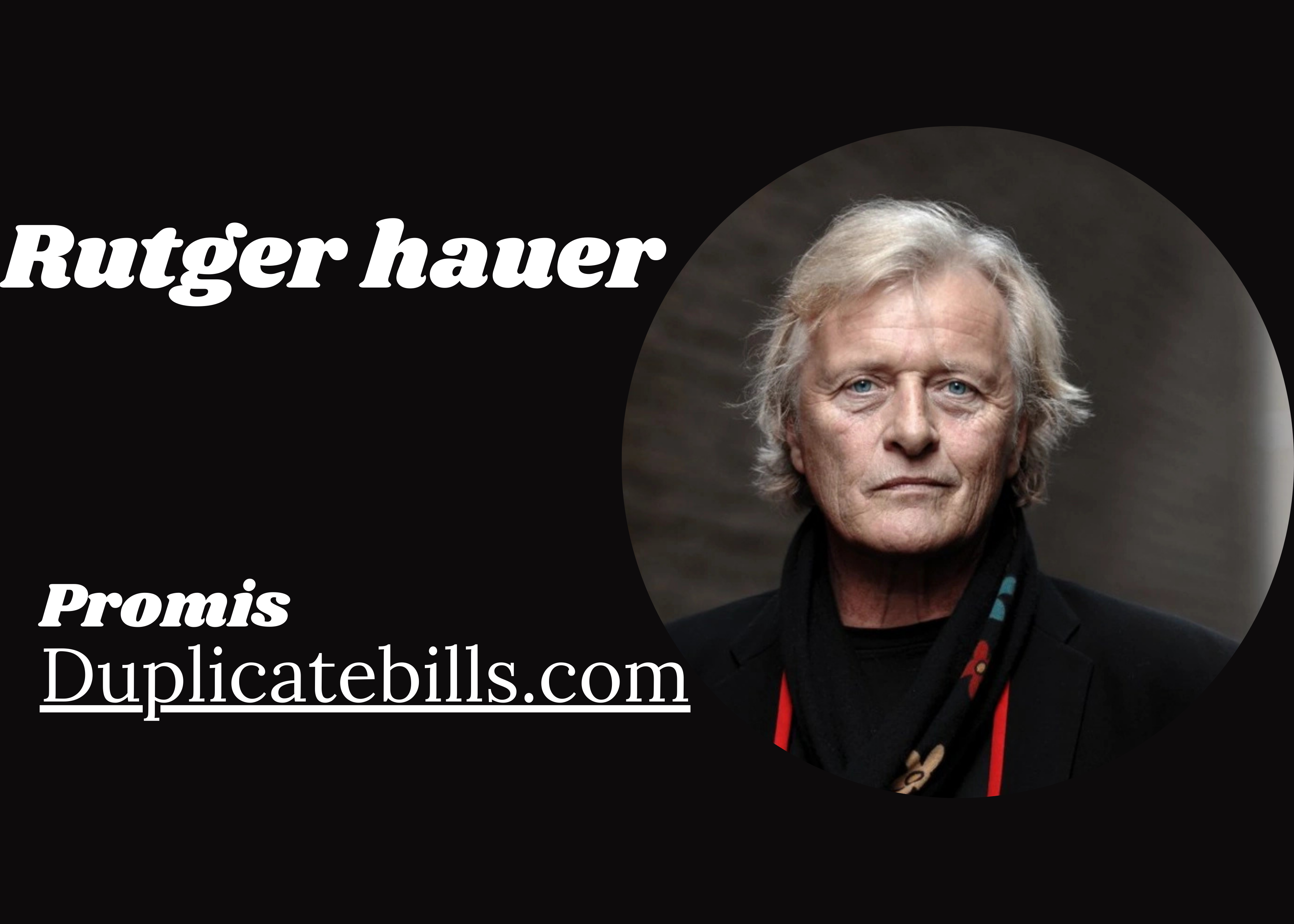 Rutger Hauer:Biografie Vermögen, Herkunft & Mehr