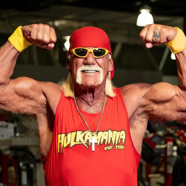 Karriere außerhalb des Wrestlings
