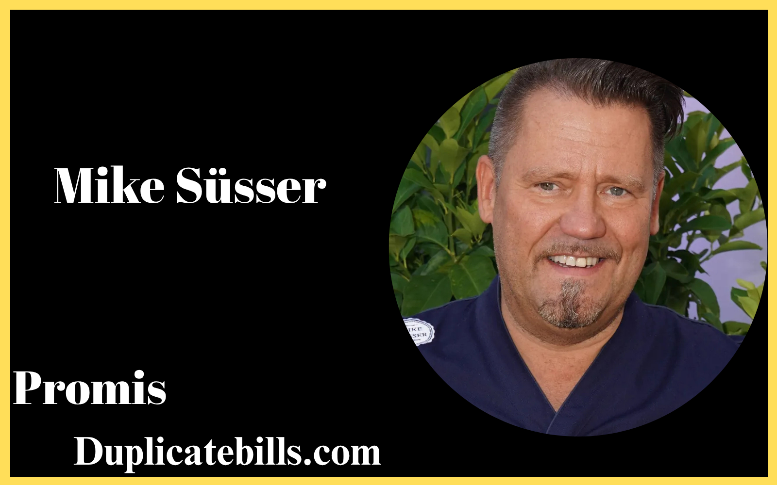 Mike Süsser: Biografie, Karriere, Privatleben & Vermögen